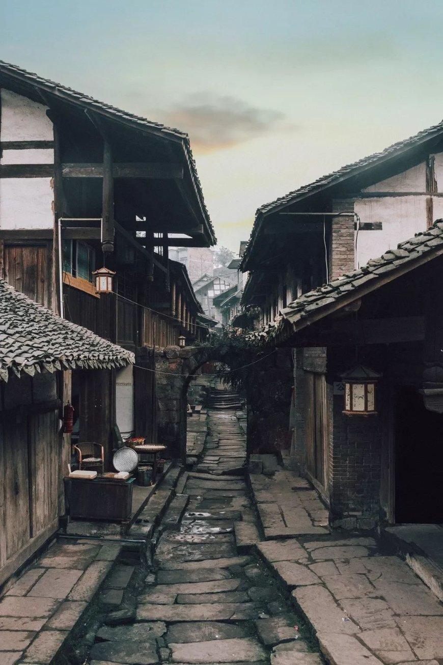 白孔雀救援